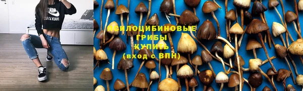 таблы Алексеевка