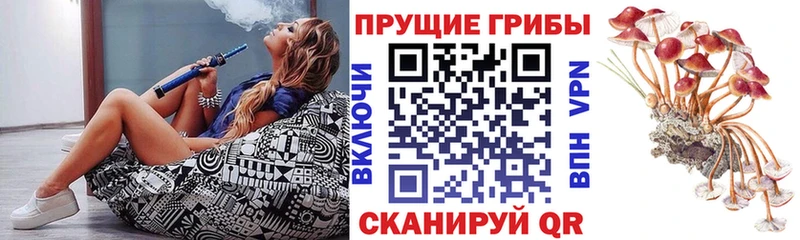 Псилоцибиновые грибы мицелий  магазин продажи наркотиков  Карабаш 